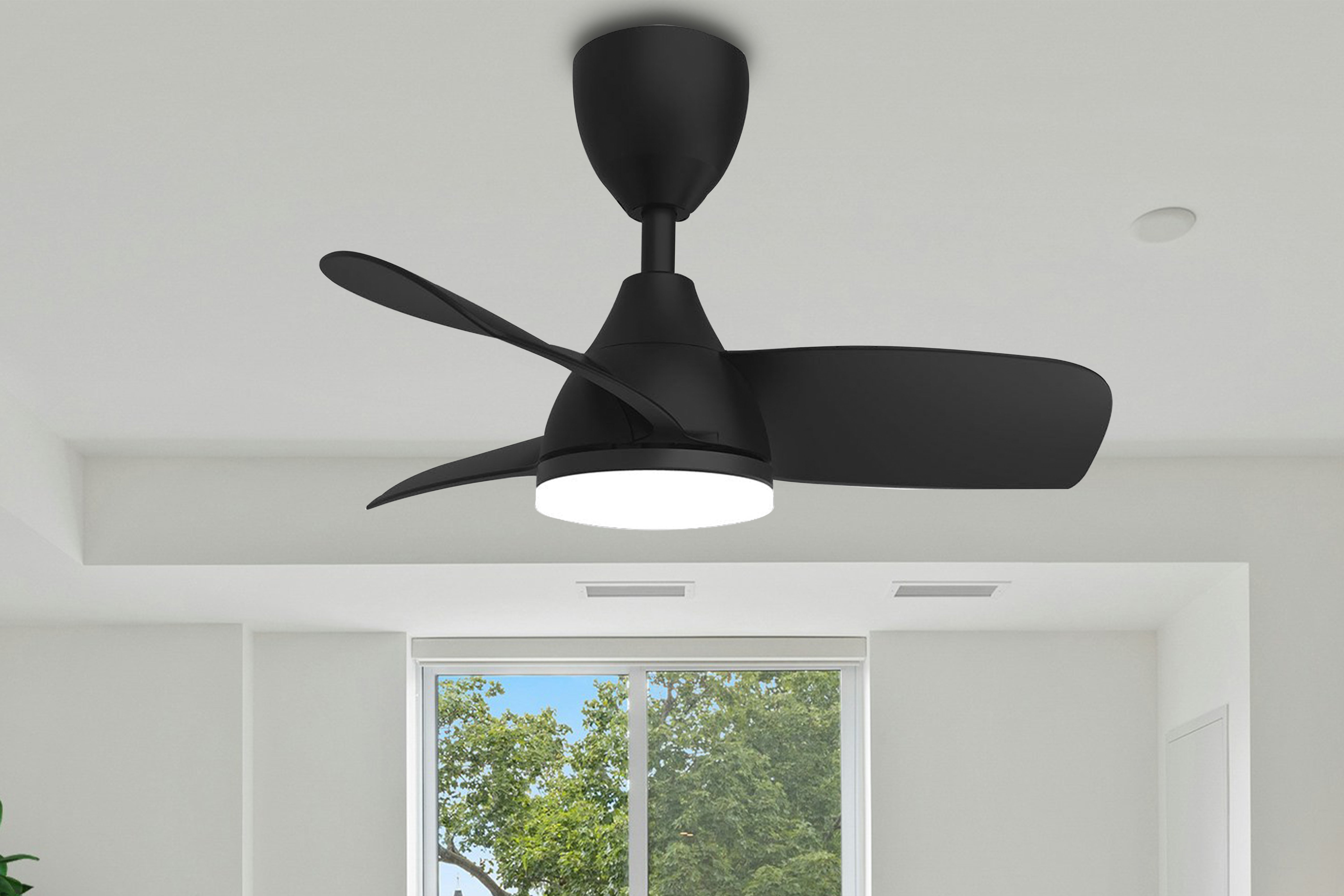 Fan lamp – Aladdin Industrial Holding Co